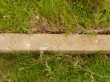 image of grave number 809048